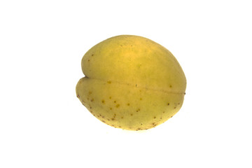 apricot isolated on white background