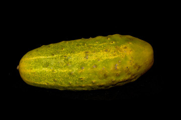 cucumber isolated on black background