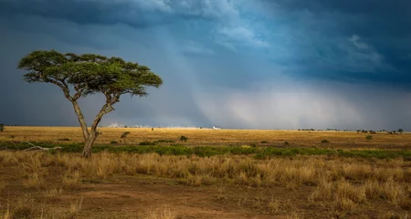 Selbstklebende Fototapeten Blue Jeans landing airplane in africa storm  © Martin