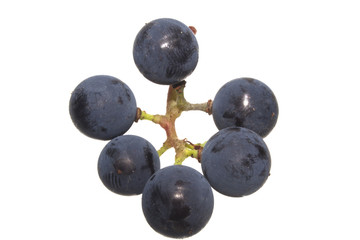 grapes isolated on white background