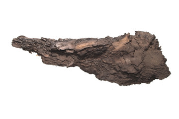tree bark isolated on white background