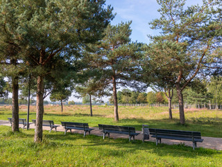 Leere Parkbänke bei wolkenlosem Himmel im Schatten von Bäumen