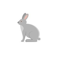 Rabbit flat icon