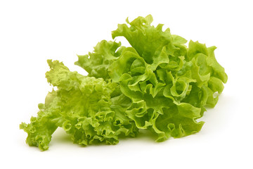 Fresh green lettuce leaves, isolated on white background