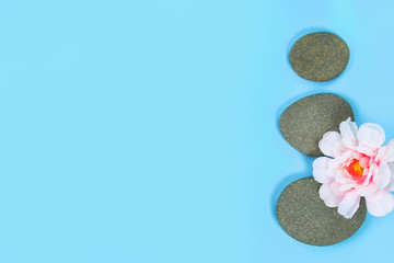 Spa stones with flowers on blue background. Copy space. Top view. Zen like concepts.