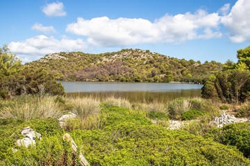 Fototapeta premium Nationalpark Telascica