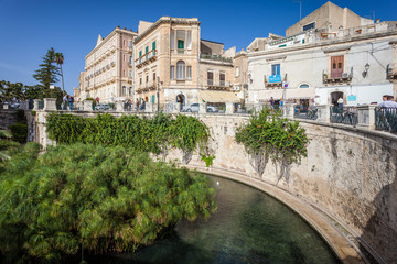 Fototapeta na wymiar SYRACUSE, ITALY - OCTOBER 14, 2014: Fountain of Arethusa with papyrus plant (Italian: Fonte Aretusa) is a natural fountain on island of Ortygia in historical centre of city