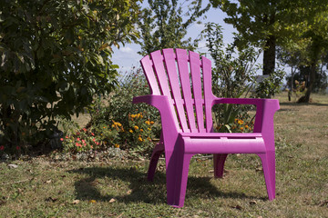 le fauteuil rose
