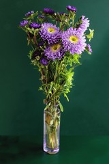 posy of pretty asters close up