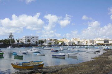 Fototapeta na wymiar view of Charco de San Gines in Arrecife, Lanzarote (Canary Islands)
