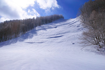 スキー場の上級コース

