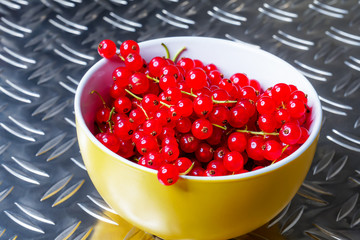 Johannisbeeren