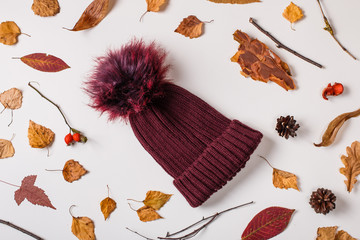 Warm woolen cap placed with  fallen leaves and dry plants on white background. Top view. Flat lay.