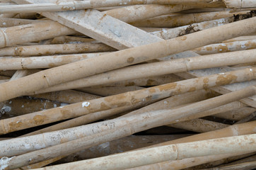 Abstract bamboo background