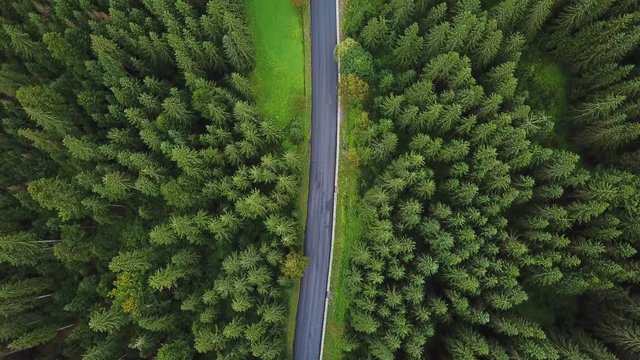 Arial view camera is moving over an empty road and pine alpine forest. Drone shot in 4k