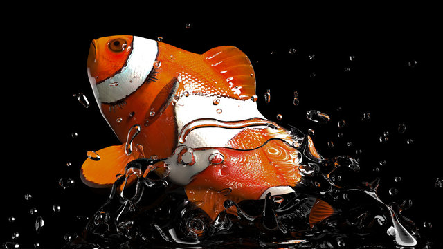 Macro shot of clown fish out of water black background 3d render