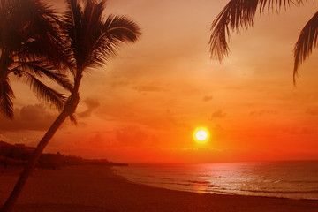 Sunset at the beach with palm trees. It's in Cuba.