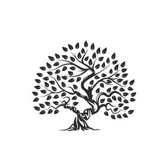 Organic natural and healthy olive tree silhouette logo isolated on white background.