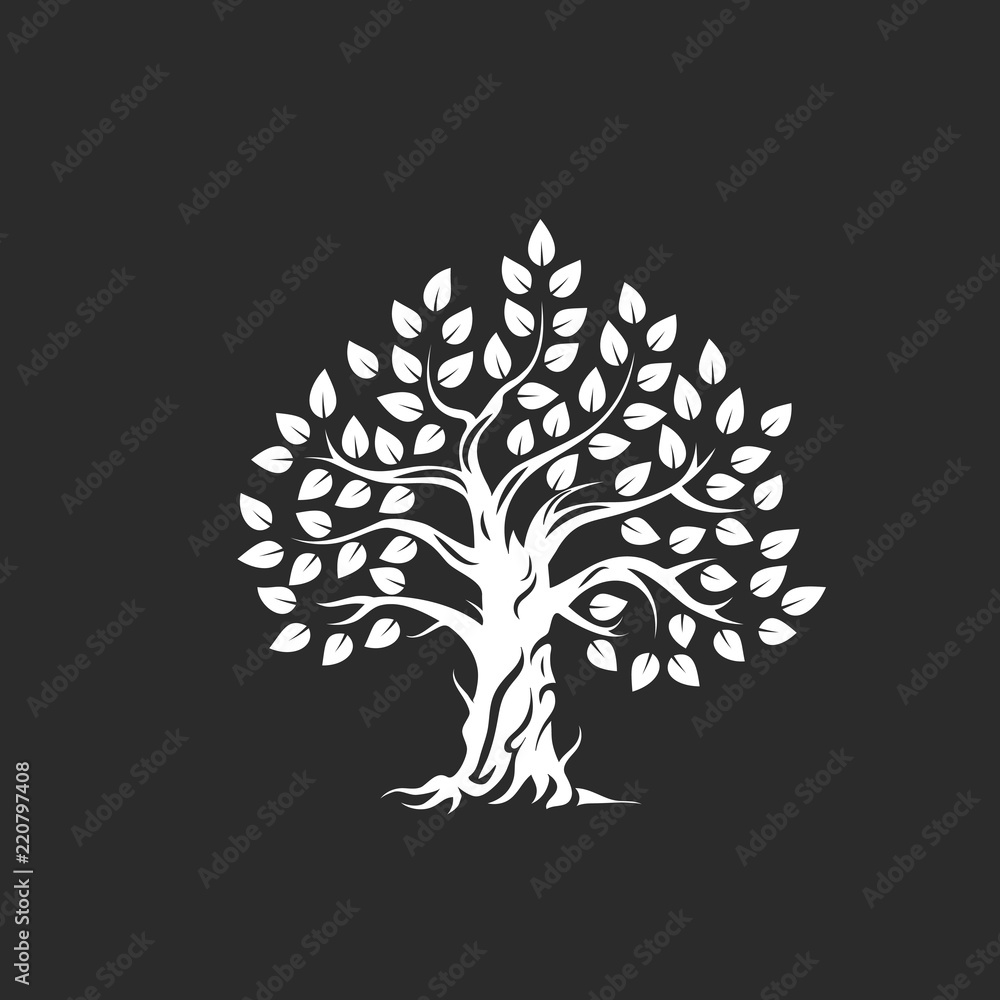 Wall mural organic natural and healthy olive tree silhouette logo isolated on dark background.