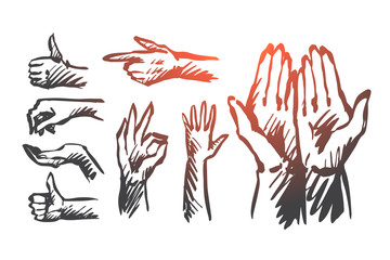 Obraz premium Hand, palm, human, finger, gesture concept. Hand drawn isolated vector.