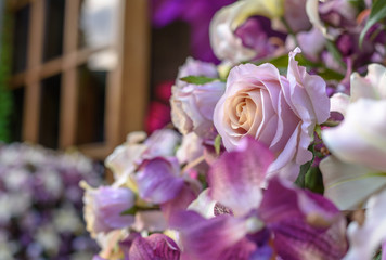 arrangement,art,artificial,background,beautiful,beauty,bloom,blooming,blossom,bouquet,bunch,celebration,closeup,color,daisy,decor,design,elegance,fabric,fake,flora,flower,fresh,garden,gift,green,leaf,