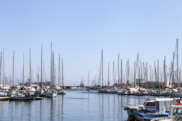 Fototapeta premium cala