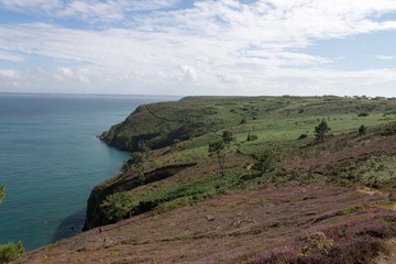 Halbinsel