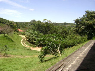 Paisagem de estrada e natureza