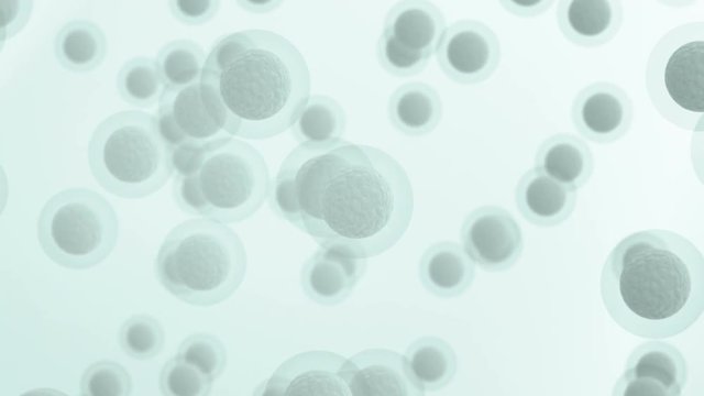 Microscopic human cells background. Seamless loop 