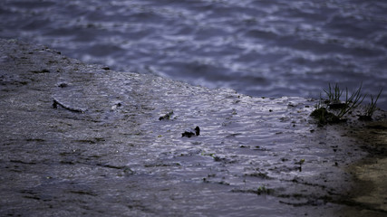 Edge of waterfall with lake in background.
