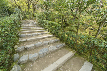 Green trail in Arashiyama, Kyoto, Japan