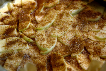 Raw apple cake with cinnamon