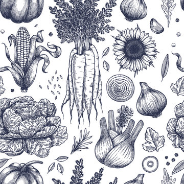 Autumn vegetables seamless pattern. Handsketched vintage vegetables. Line art illustration. 