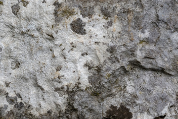 Obraz na płótnie Canvas roccia con licheni