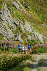 Family hiking between the pink flowers
