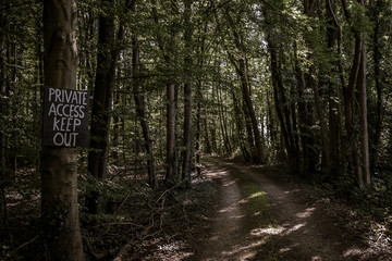 Road into the private woods