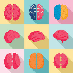 Genius brain icon set. Flat set of genius brain vector icons for web design
