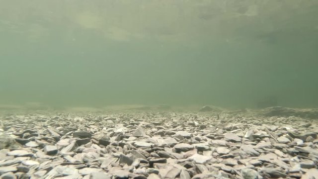 Underwater recording of lake in Wales