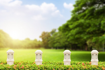 Green bush or wall of shrubs and lamp In the park. Scenic view of the park with green grass field in city and a cloudy blue sky background Green leaves wall with clipping path
