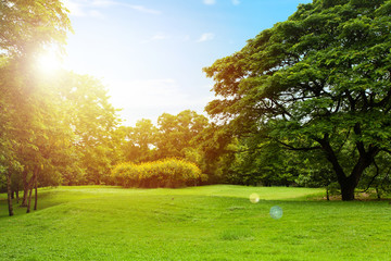Scenic view of the park with green grass field in city and a cloudy blue sky background