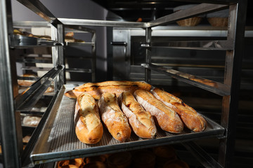 Many French baguettes on a baking sheet in the bakery