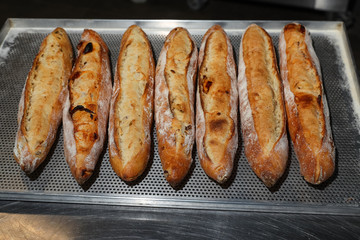 Many French baguettes on a baking sheet in the bakery