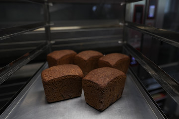Fresh bread on a baking sheet after cooking in the oven in the bakery