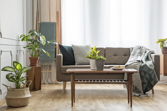 Wooden table in front of beige couch in simple bright living room interior with plants. Real photo