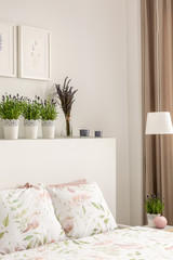 Lavender flowers on bedhead above bed with pillows in bright bedroom interior with posters and lamp. Real photo