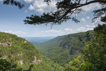 Cloudland Canyon - A scenic mountain landscape.