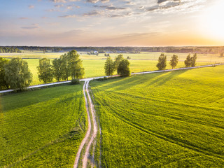 Drone Photo of the Crossroad Between Trees in Colorful Early Spring - Surrounded with Dandelion Field. Blue Skies with Clouds in the Background