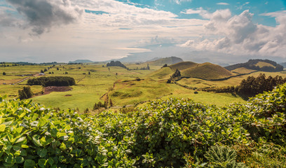 Fototapeta na wymiar Wonderful hills and fields landscape in Sao Miguel, Azores Islands