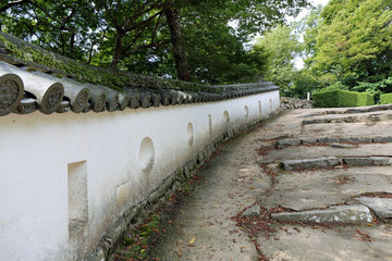 晩夏の備中松山城