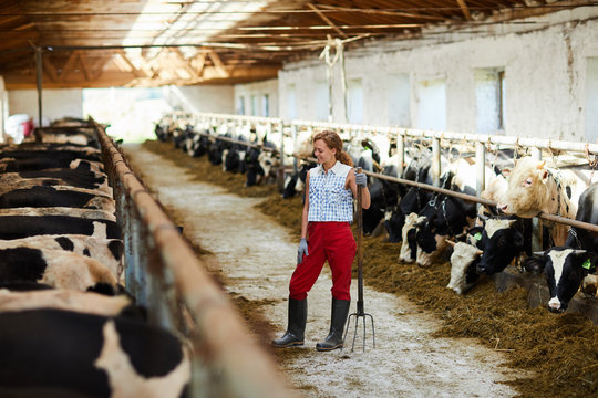 Full length portrait of modern young woman cleaning barn or cow shed, copy space